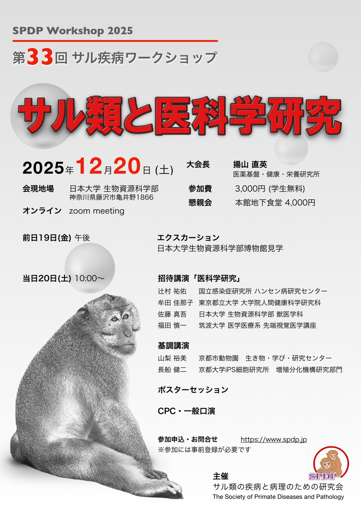 Meeting_Poster_SPDPWS2025